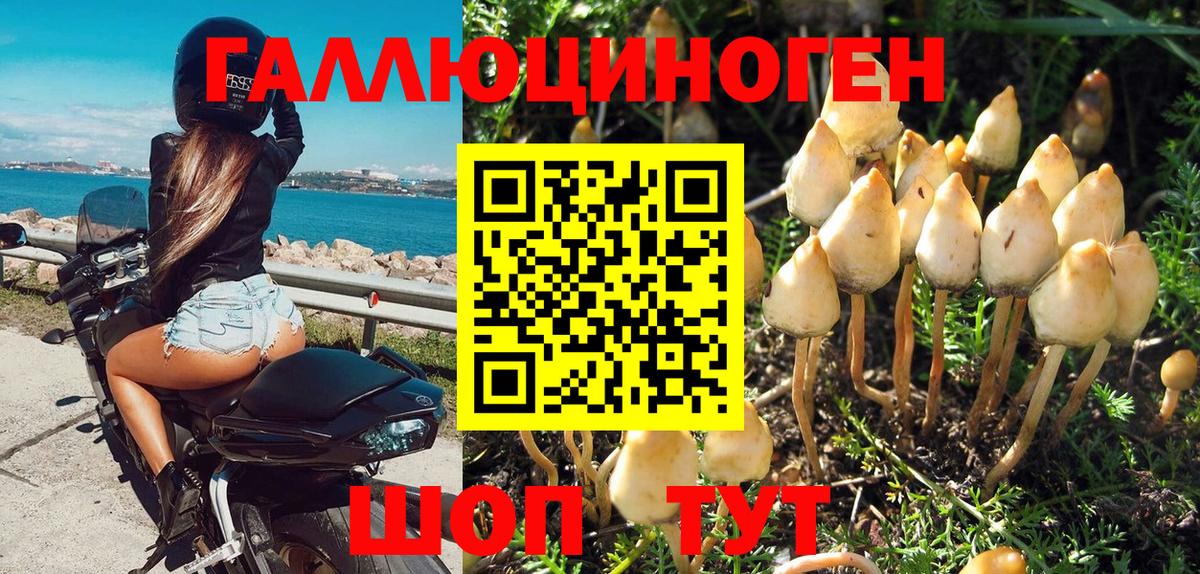Санкт-Петербург  Галлюциногенные грибы GOLDEN TEACHER  Вход с VPN  Псилоцибиновые грибы Magic Shrooms 