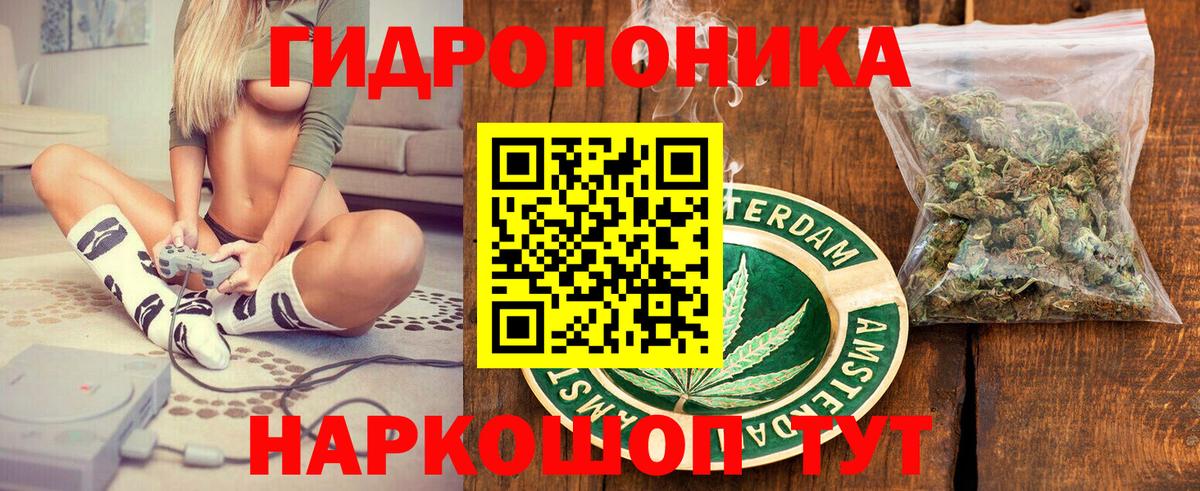 Конопля Ganja  Конопля сатива  Вход с VPN  Санкт-Петербург  Конопля OG Kush 